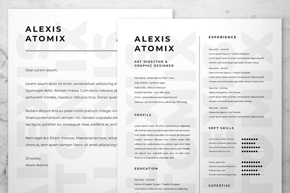 Professional Resume & Cover Letter 2 in Resume Templates - product preview 4