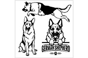 German Shepherd dog - vector set
