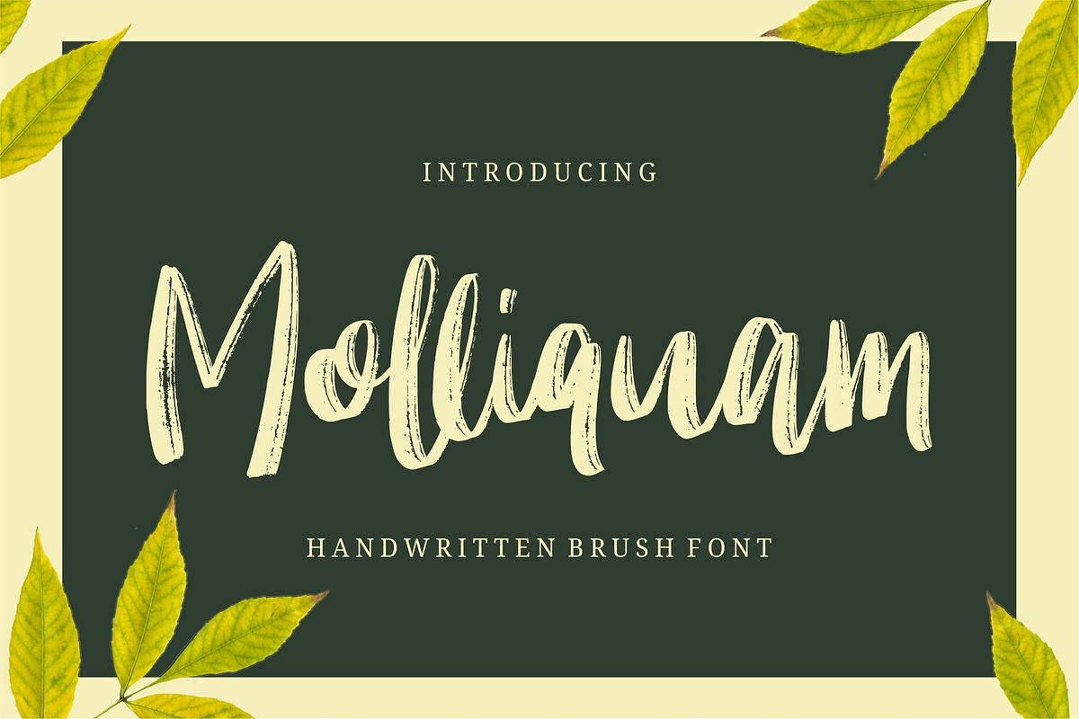 Molliquam - Handwritten Font in Script Fonts - product preview 8