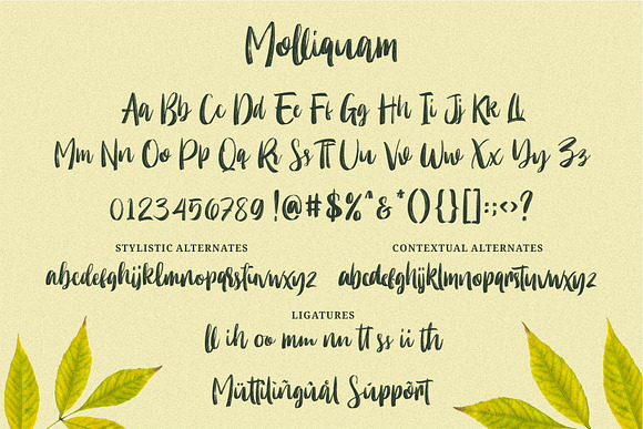Molliquam - Handwritten Font in Script Fonts - product preview 6