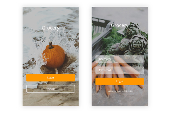Grocery - Shopping Store Sketch App in UI Kits and Libraries - product preview 5