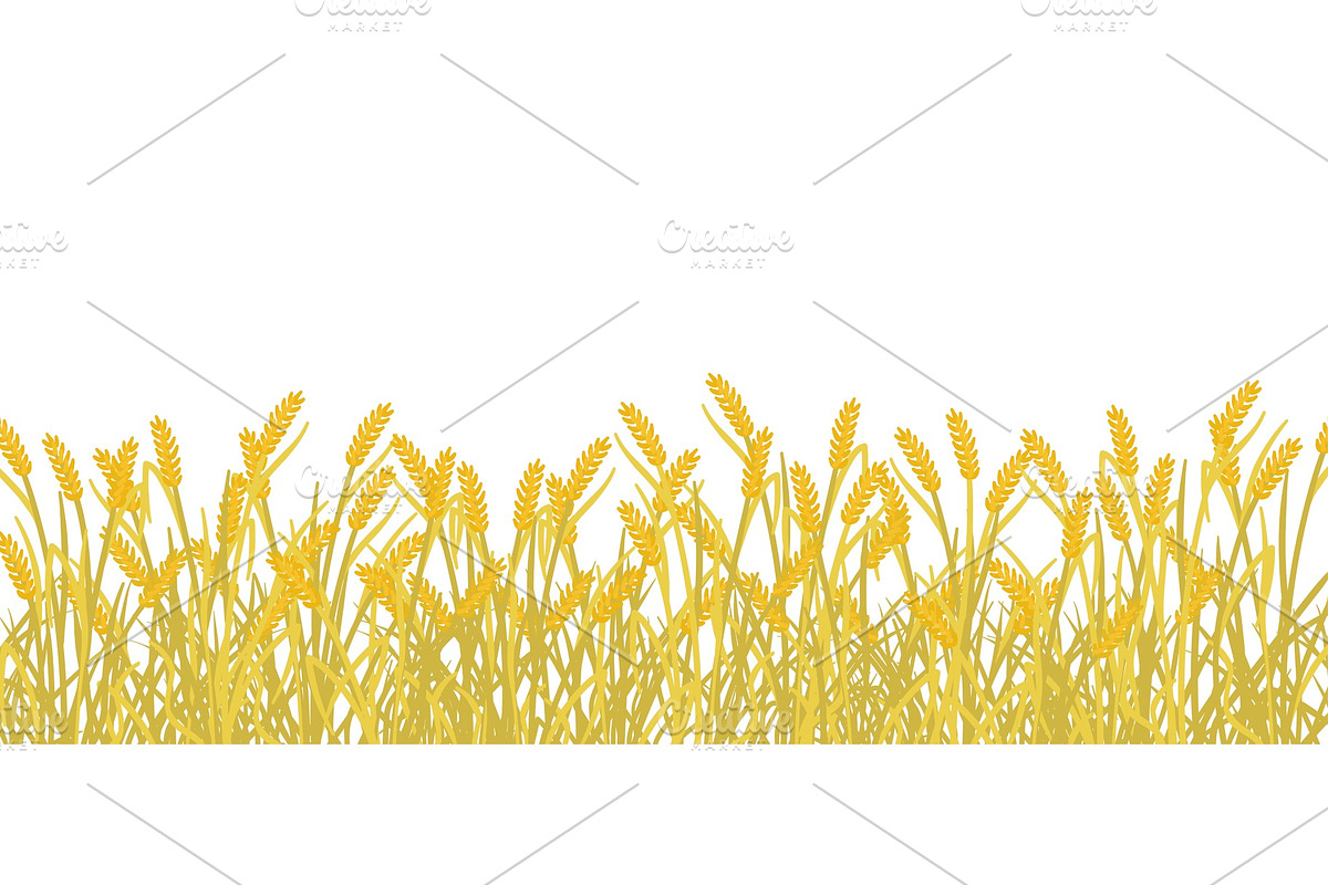 Cereal rye field banner background in Illustrations - product preview 8