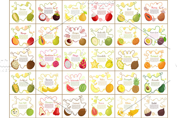 Sugar Apple and Durian Slices Vector