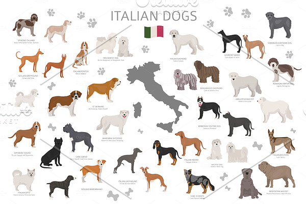 Italian dogs