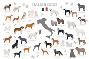 Italian dogs