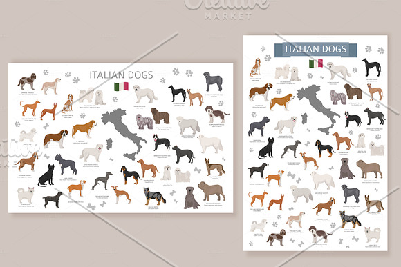 Italian dogs in Illustrations - product preview 1