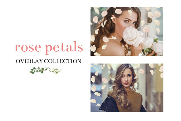 Rose Petal Overlays in Photoshop Layer Styles - product preview 3