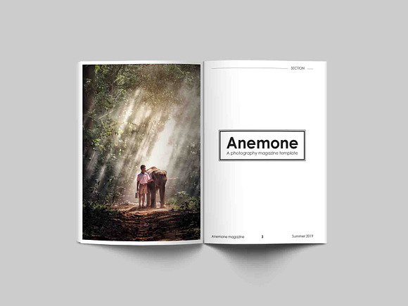 ANEMONE: Visual Stationary Template in Stationery Templates - product preview 3