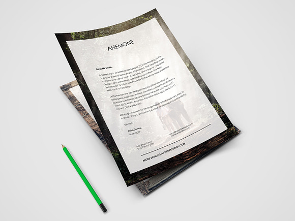 ANEMONE: Visual Stationary Template in Stationery Templates - product preview 24