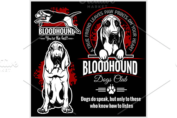 Bloodhound - vector set for t-shirt
