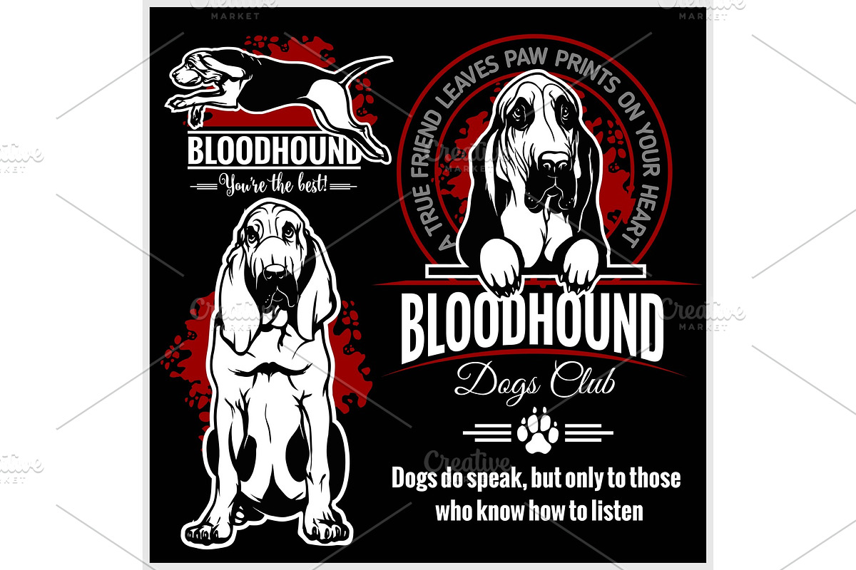 Bloodhound - vector set for t-shirt in Illustrations - product preview 8