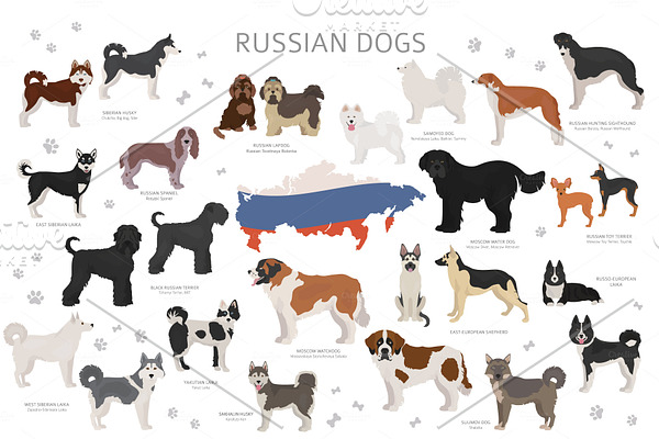 Russian dogs