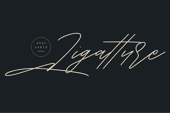 Shaloems Handwritten Signature Font in Script Fonts - product preview 1