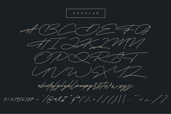 Shaloems Handwritten Signature Font in Script Fonts - product preview 9