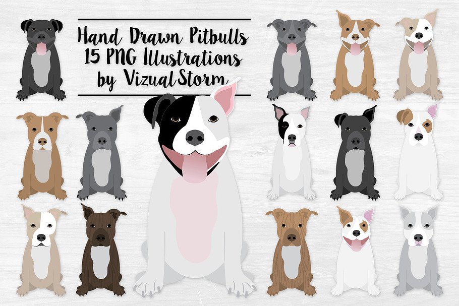 American Pitbull Terrier Clipart in Illustrations - product preview 8