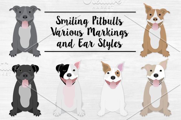 American Pitbull Terrier Clipart in Illustrations - product preview 1