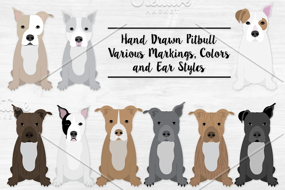American Pitbull Terrier Clipart in Illustrations - product preview 2