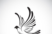 Vector of birds(Dove) design. Animal