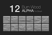 Zbrush - 12 BurnWood Alpha
