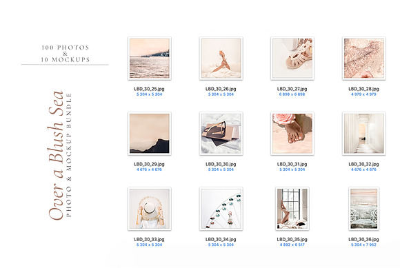OVER A BLUSH SEA. 100+ in Instagram Templates - product preview 6