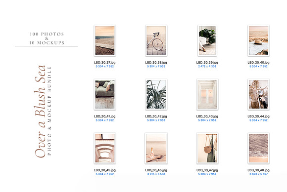 OVER A BLUSH SEA. 100+ in Instagram Templates - product preview 7
