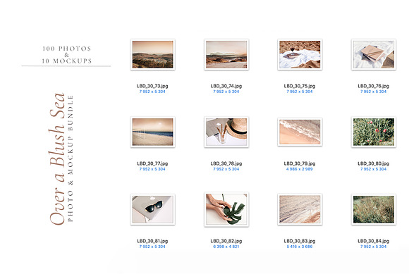 OVER A BLUSH SEA. 100+ in Instagram Templates - product preview 10
