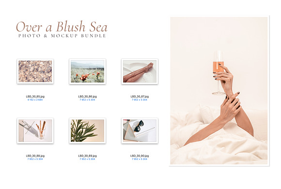 OVER A BLUSH SEA. 100+ in Instagram Templates - product preview 13