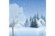 Winter Christmas Landscape