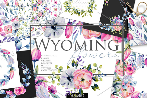 Wyoming flowers. Watercolor clipart.