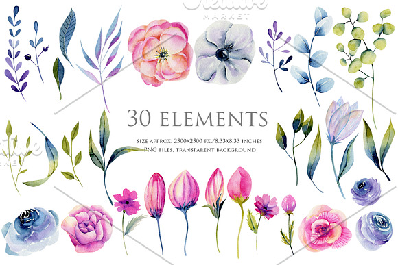 Wyoming flowers. Watercolor clipart. in Illustrations - product preview 1