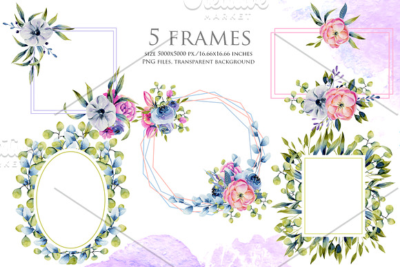 Wyoming flowers. Watercolor clipart. in Illustrations - product preview 7