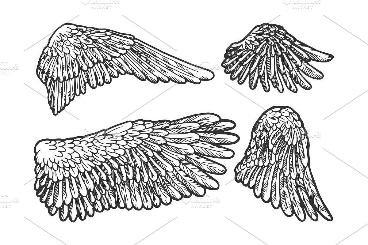 Bird angel wings set sketch vector in Illustrations - product preview 8