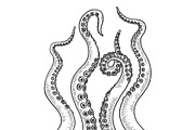 Octopus tentacle set sketch vector