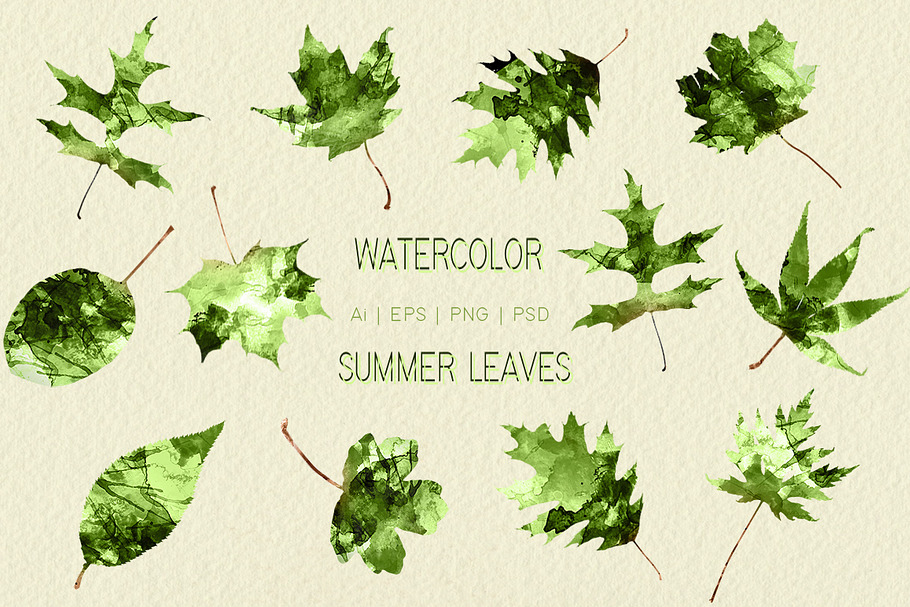 Watercolor Summer Leaves in Objects - product preview 8