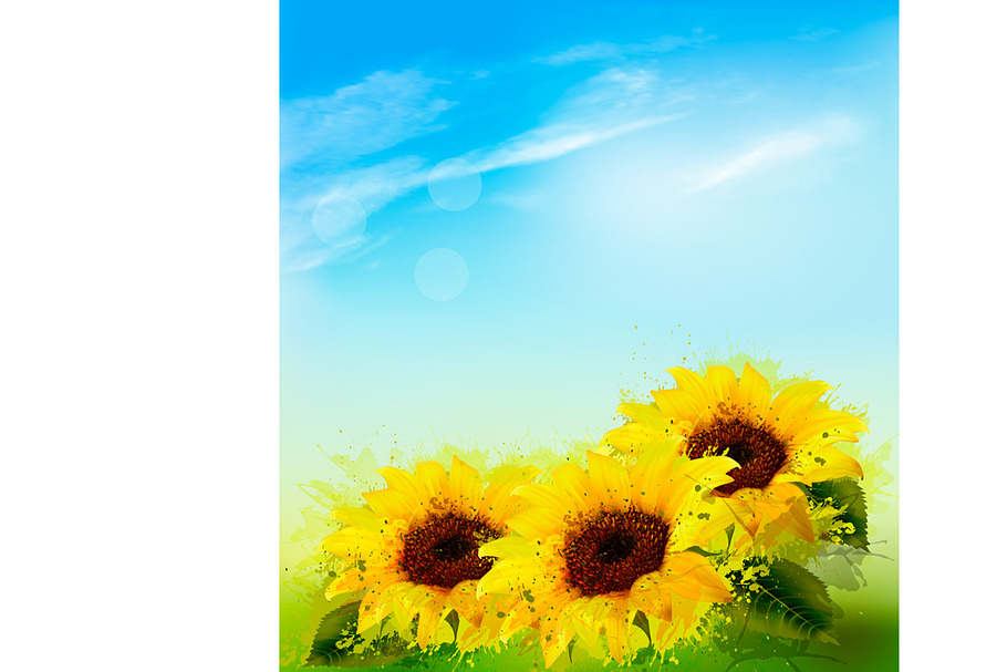 Nature background with sunflowers in Illustrations - product preview 8