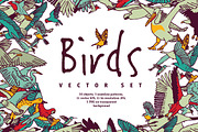 Different birds vector set