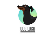 Dachshund Dog Logo on White