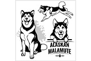 Alaskan Malamute dog - vector set