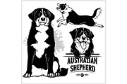 Australian Shepherd dog - vector set