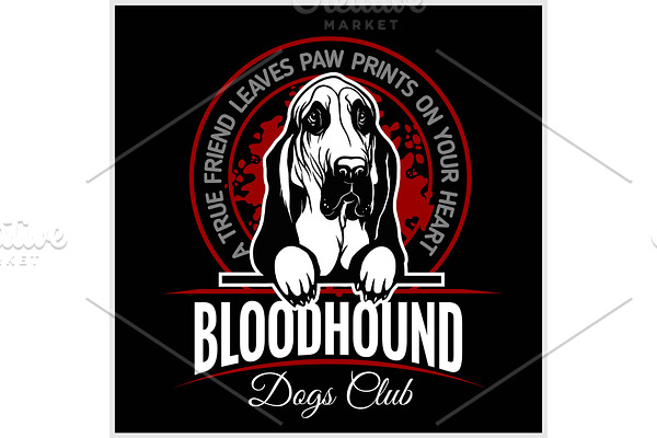 Bloodhound - vector illustration for