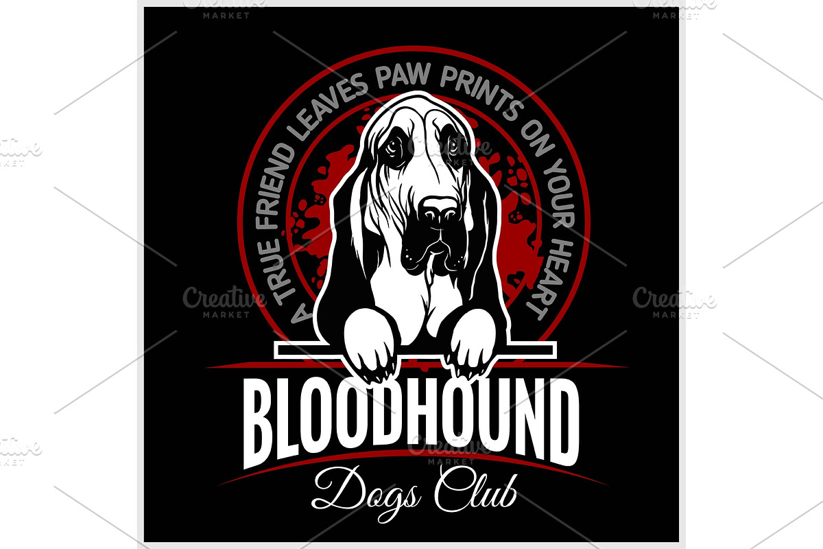Bloodhound - vector illustration for in Illustrations - product preview 8