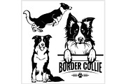 Border Collie dog - vector set