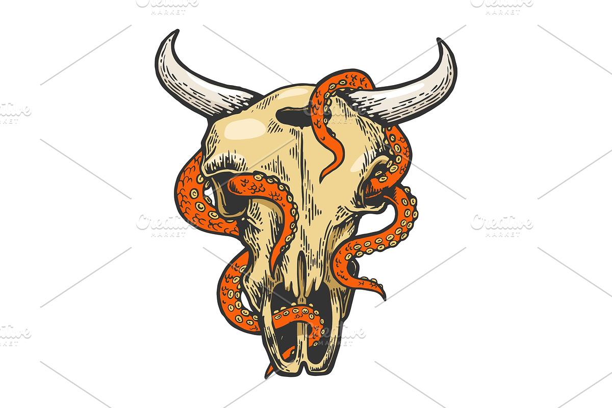 Octopus in cow skull color sketch in Objects - product preview 8