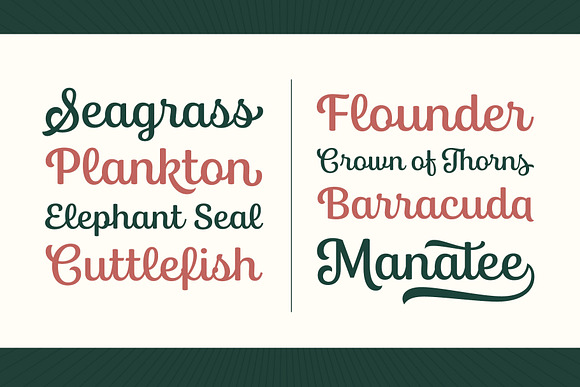Bluestar in Script Fonts - product preview 5