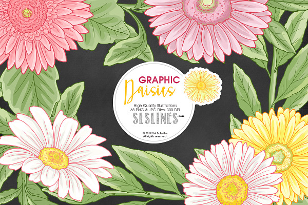 Daisy Graphic Set in Pink & Yellow