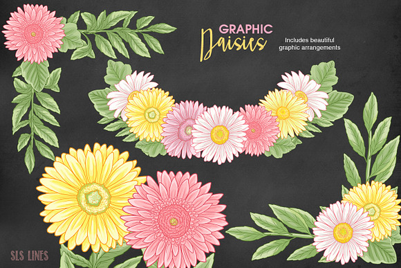 Daisy Graphic Set in Pink & Yellow in Illustrations - product preview 1