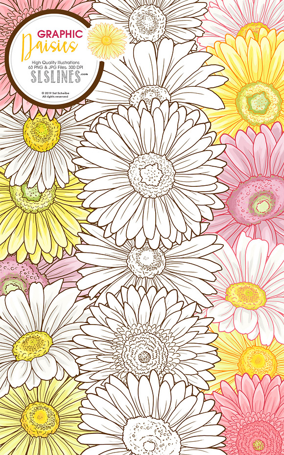 Daisy Graphic Set in Pink & Yellow in Illustrations - product preview 8