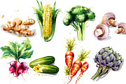 Vegetables watercolor vector set