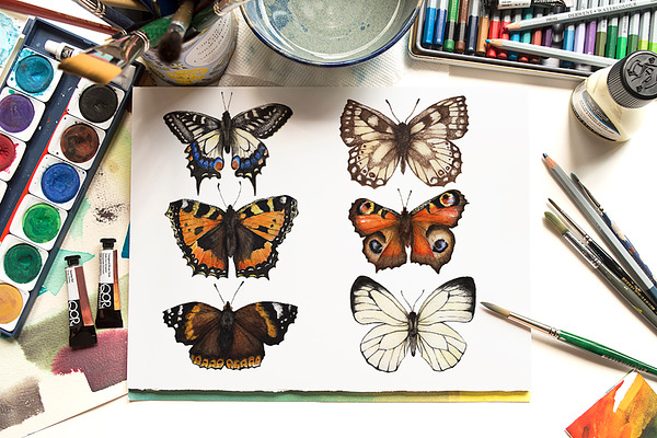 Watercolour Butterfly Pack
