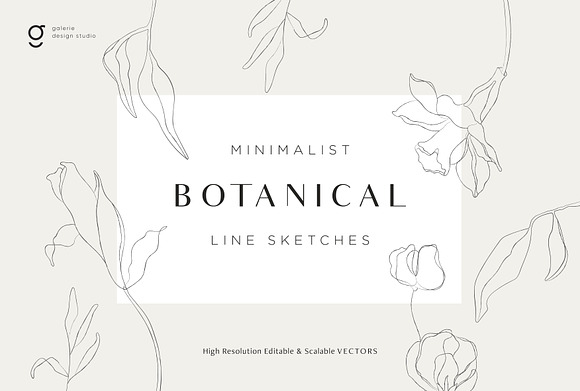 Minimalist Botanical Line Sketches in Illustrations - product preview 5